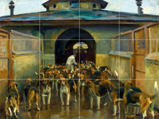 Belvoir kennel foxhounds fox