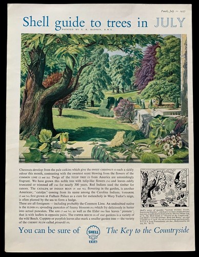 Badmin trees july - s, r