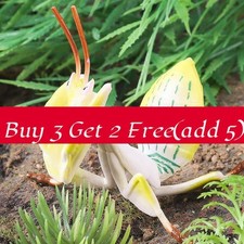 Realistic Insect Toy Model