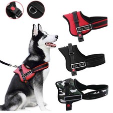 Outdoor train Dog Harness NO