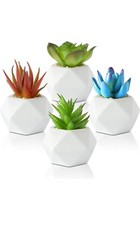 Artificial Multi Succulents