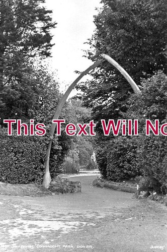 3591 whale bone arch - 3591,