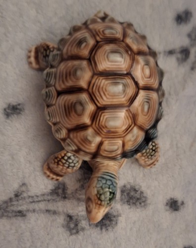 Wade porcelain large tortoise - wade,