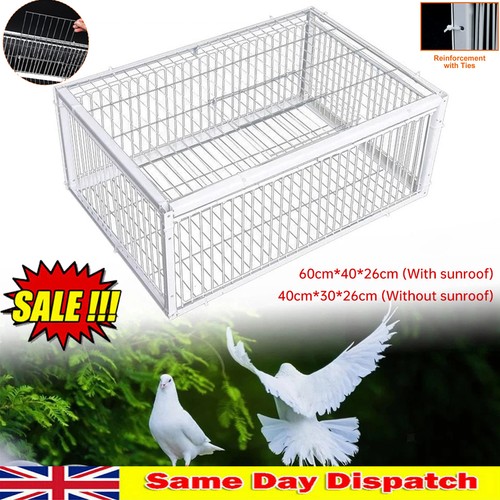 Pigeon trap cages - pigeon, way