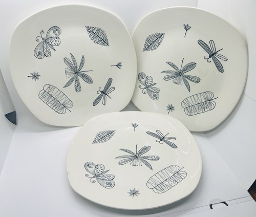 Midwinter nature study - study, dinner
