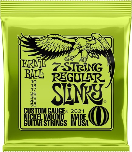 Ernie ball regular - ball, slinky