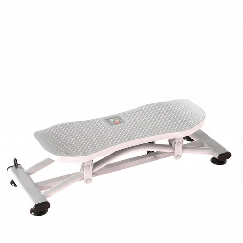 Ski machine quiet twist - ski,