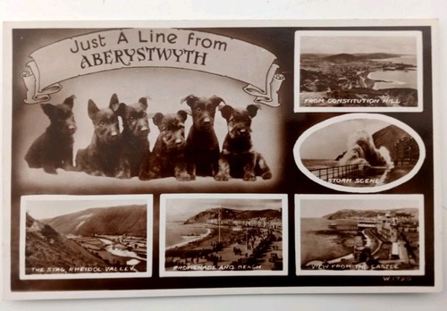 Real photo vintage postcard - real,