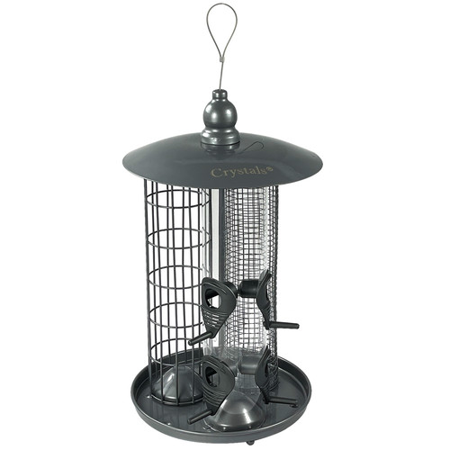 Hanging wild garden - garden, bird