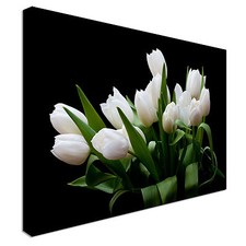 White Tulips On A Black Canvas Wall Art Picture Print