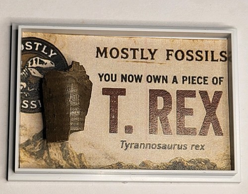 Genuine tyrannosaurus rex - genuine,