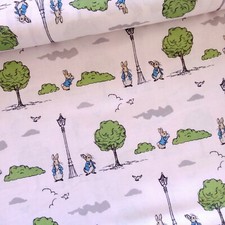 Beatrix Potter Peter Rabbit