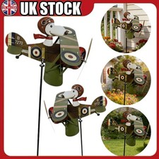 Pilot Flying Biplane Wind