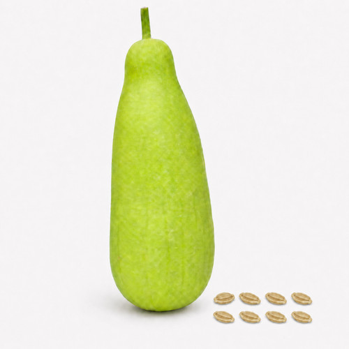 Bottle gourd seeds lauki - bottle,