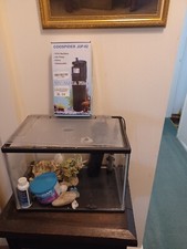 24 litre fish tank with filter and ornaments good for kids and starters