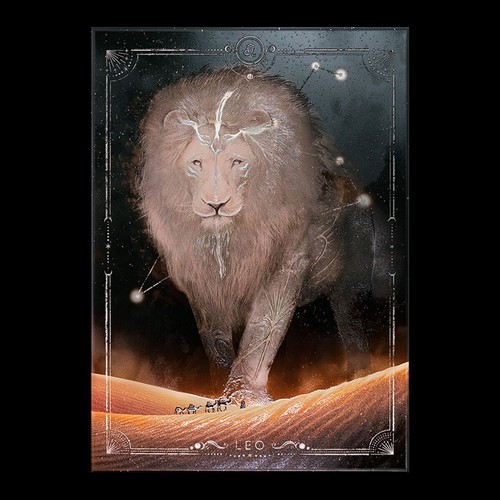 Displate under the - |, lion's