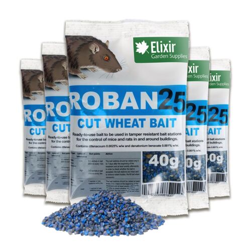 Rat mouse poison - rat,