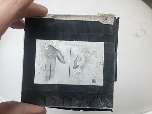 Glass slide ray - slide, of