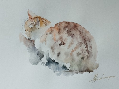 Cat animal watercolor - animal,,
