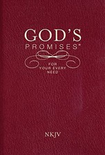 God's Promises for Your Everyday Need by Thomas Nelson Paperback / softback The