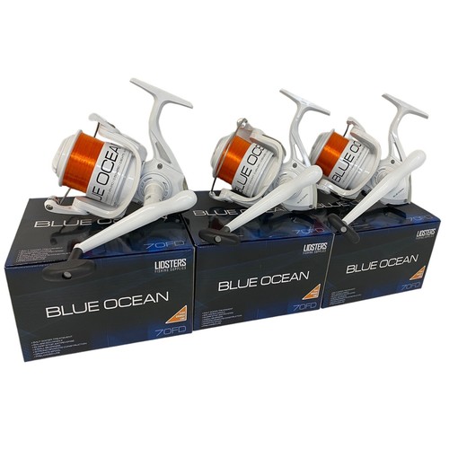 New lidsters blue - 3,