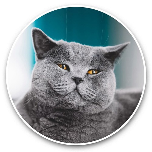 Vinyl stickers 15cm - 2,