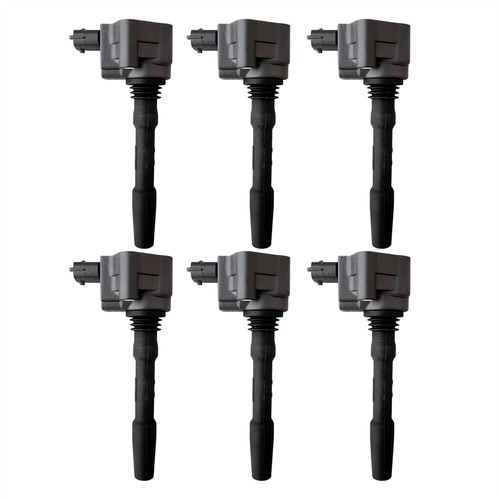 6pcs ignition coils 288233 for - 288233,