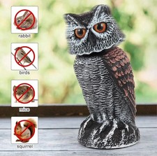 Owl Decoy Statue Protect