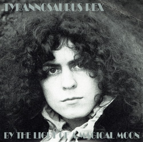 Tyrannosaurus rex by the - rex,