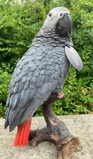 African Grey Parrot Vivid Arts Garden Ornament Indoor/ Outdoor xrl- fgp-d
