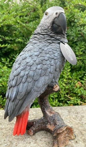 African grey parrot vivid - parrot,