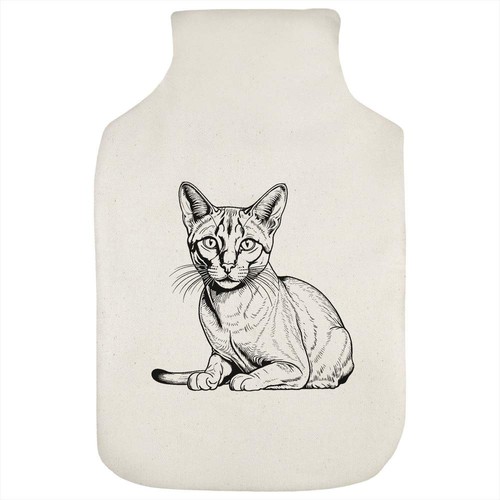 Chausie cat hot water - water, bottle