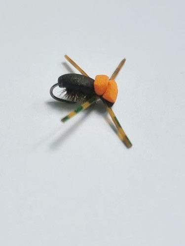 Trout flies floating water - flies,