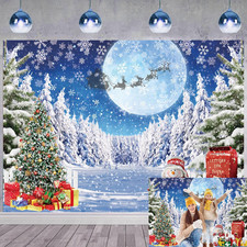 Winter Christmas Backdrop