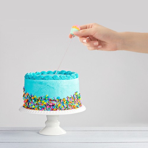 Pcs cake probe baking - cake,