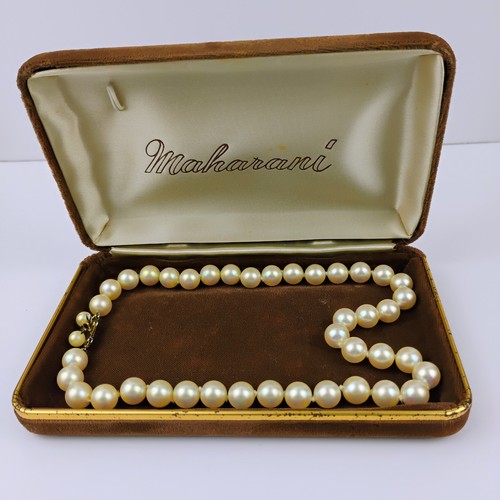 Maharani brand large - large, faux