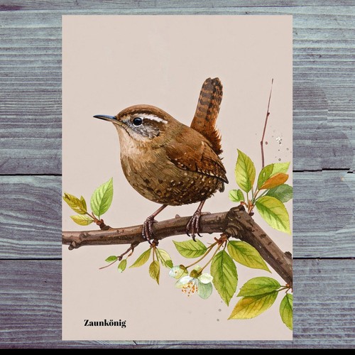 Photo magnet wren - ,, fridge