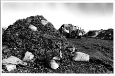 1991 Quincy MA leaf composting