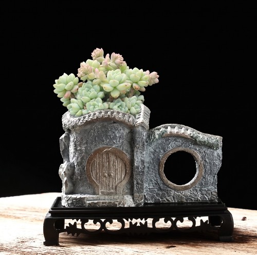 Chinese cottage garden - chinese,