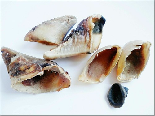 5pcs large hard dried - large,