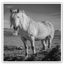 2 x Square Stickers 10 cm -