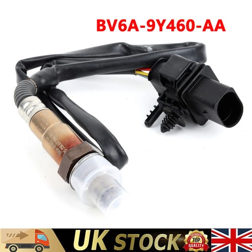 Lambda sensor for ford focus - sensor,