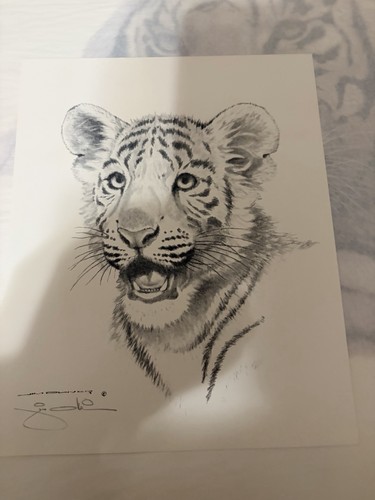 Jim oliver signed tiger - jim,