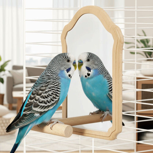 Bird mirror perch - bird,