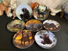7 Black Labradors Vintage Decorative Plate John Silver Wedgwood