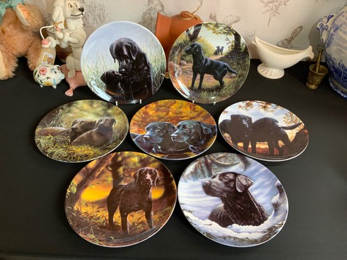 Black labradors vintage - 7,