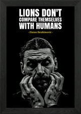 Zlatan Ibrahimovic quotes