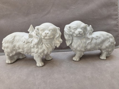 Pair german king charles - a,