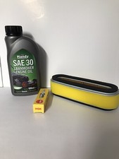 Honda HR194 Lawnmower Service