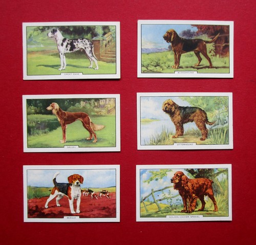 Gallaher six vintage - ,